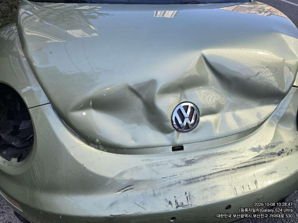 Volkswagen Volkswagen New Beetle 2.0